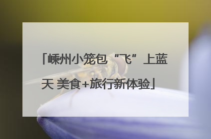 嵊州小笼包“飞”上蓝天 美食+旅行新体验